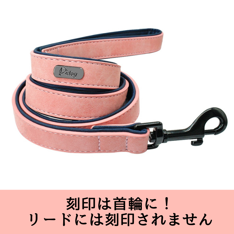 愛犬のレザー カスタム名前刻印 首輪 リードセット