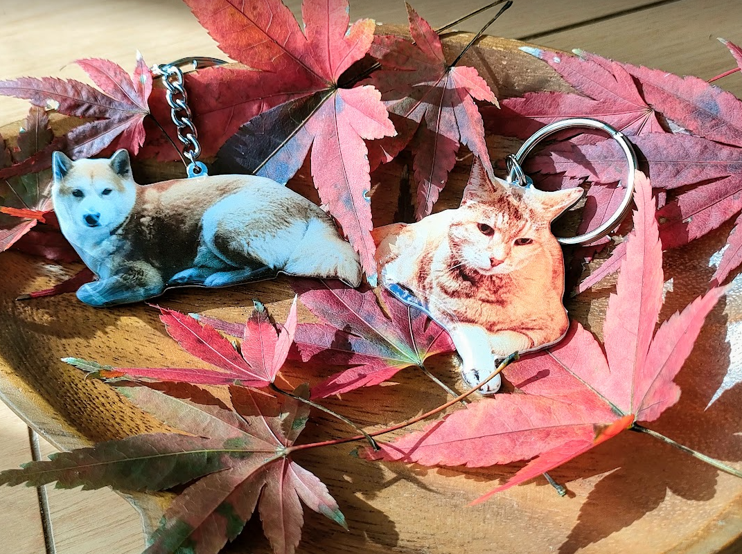 愛犬・愛猫・ペットの写真 名前刻印カスタムキーホルダー