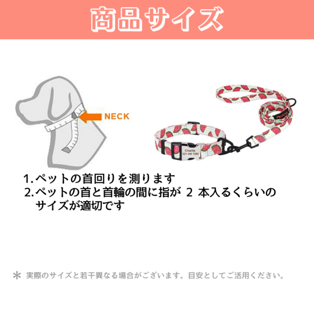 愛犬のカスタム名前刻印 ナイロン首輪 リードセット3種