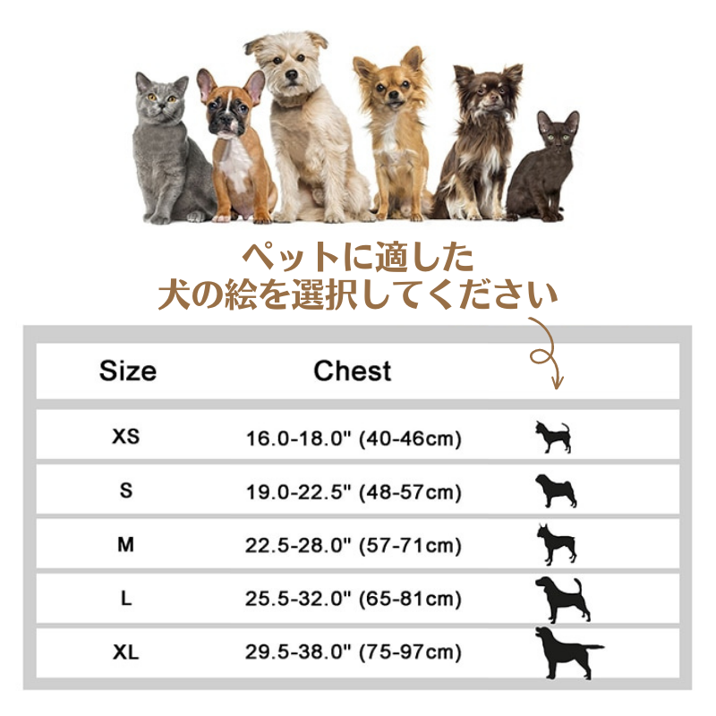 愛犬名前刻印カスタム ハーネス ベルト
