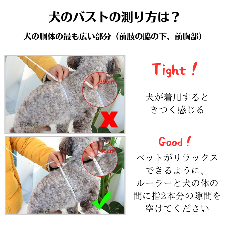 愛犬名前刻印カスタム ハーネス ベルト