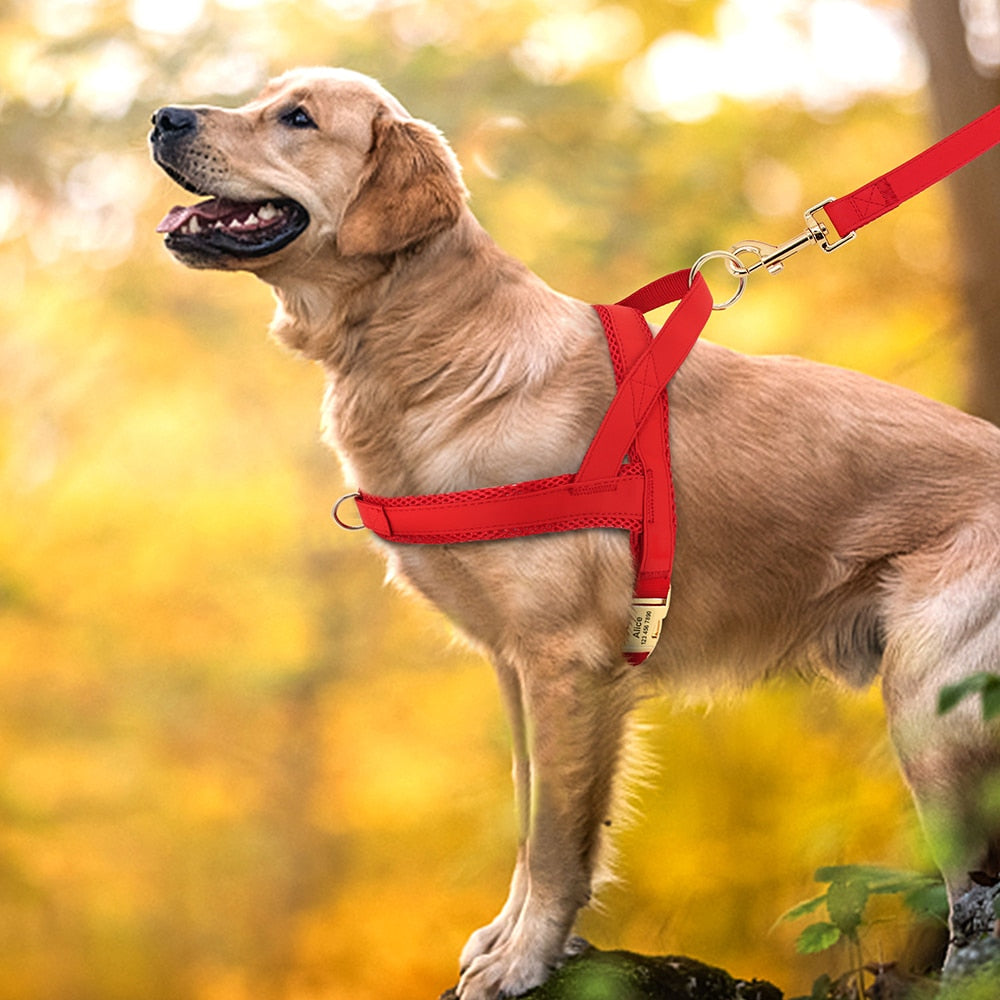 愛犬名前刻印カスタム ハーネス ベルト