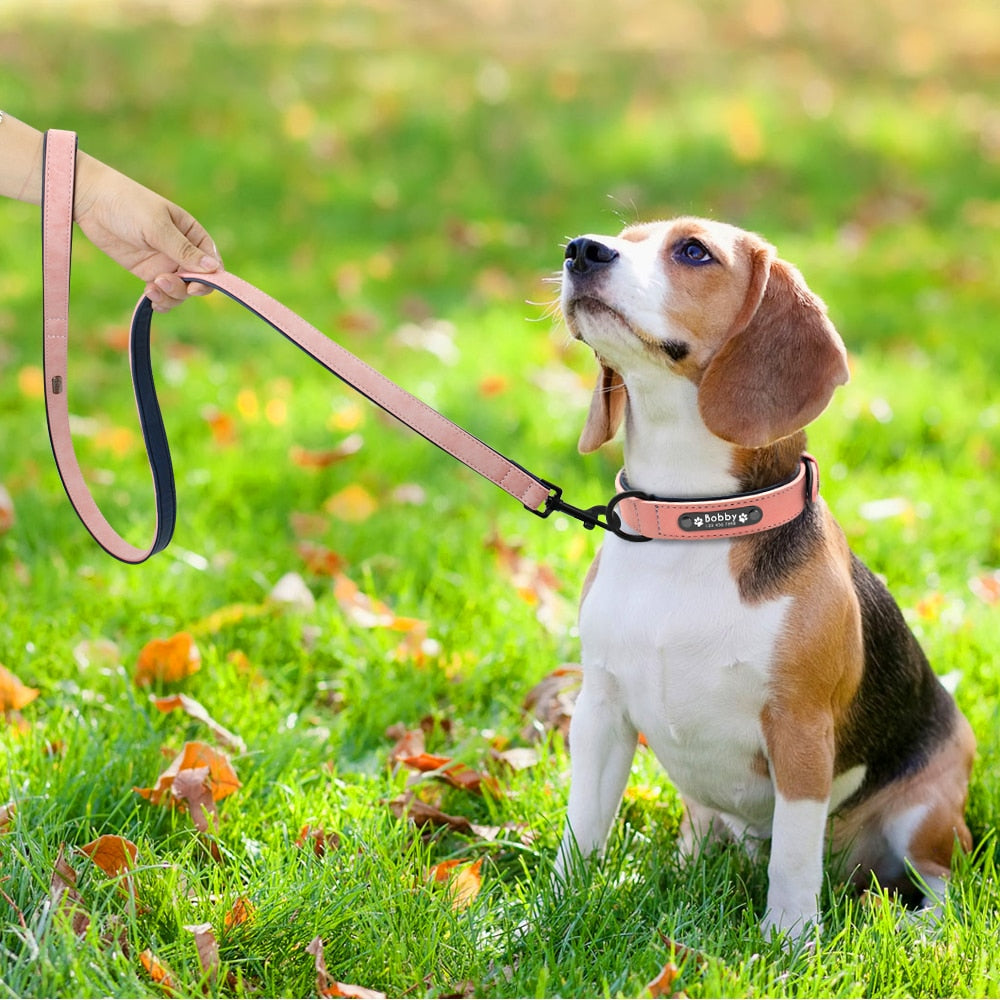 愛犬のレザー カスタム名前刻印 首輪 リードセット