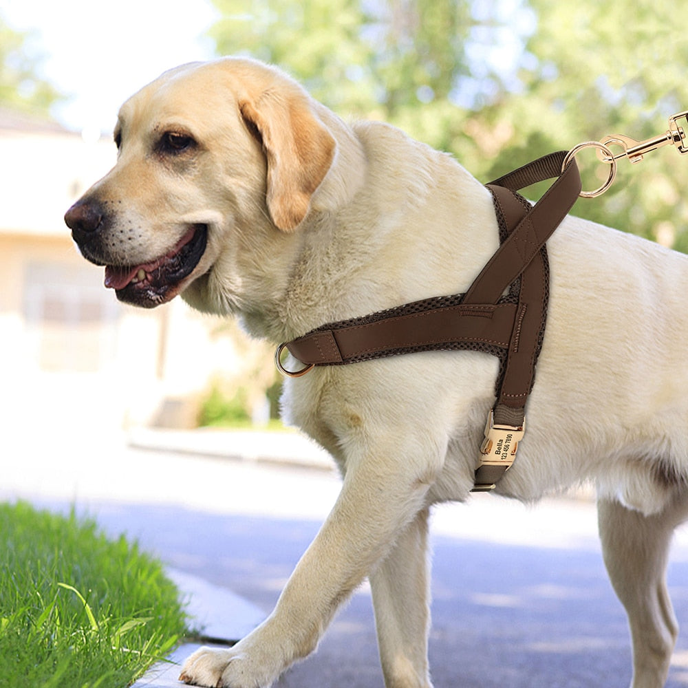 愛犬名前刻印カスタム ハーネス ベルト