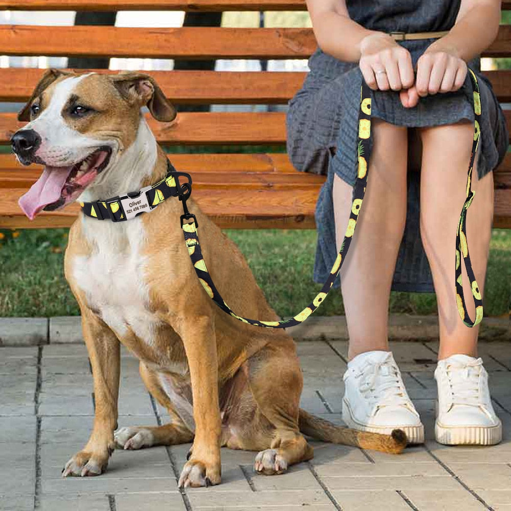 愛犬のカスタム名前刻印 ナイロン首輪 リードセット3種