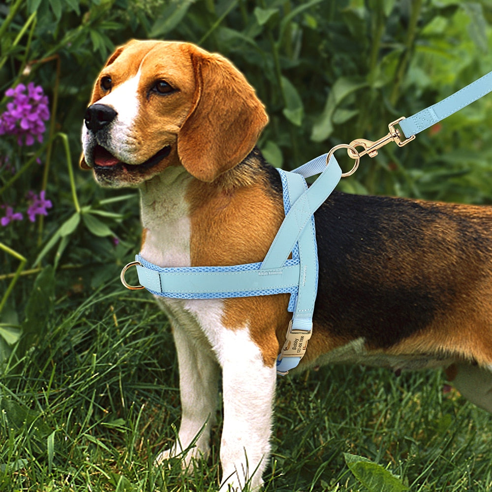 愛犬名前刻印カスタム ハーネス ベルト