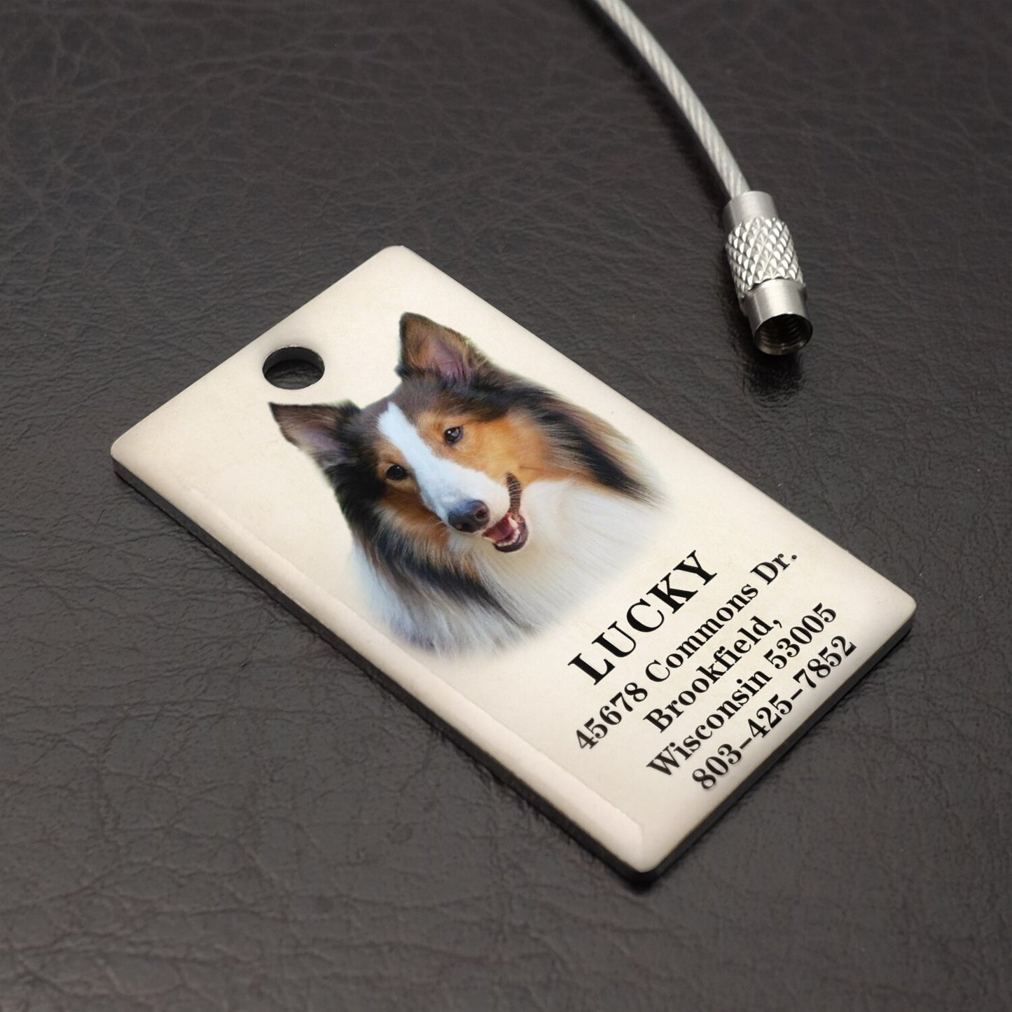 愛犬・愛猫・ペット 写真刻印 オリジナル金属荷物タグ