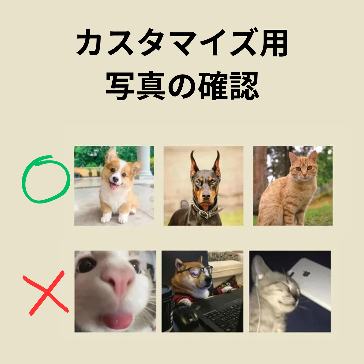 【光るメモリアル】うちの子カスタム・LEDフォトフレーム