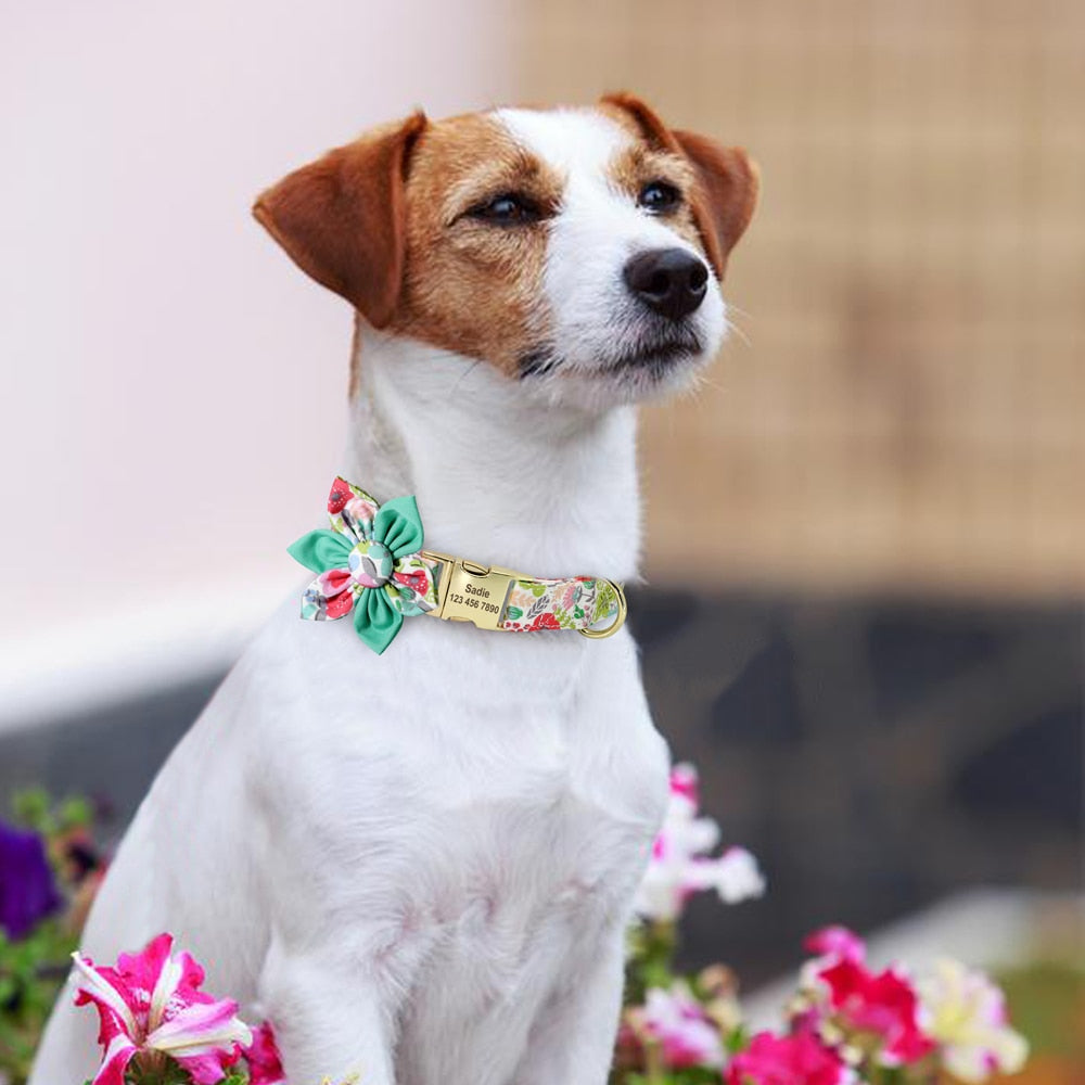 愛犬のカスタム名前入れナイロン花結スタイル首輪