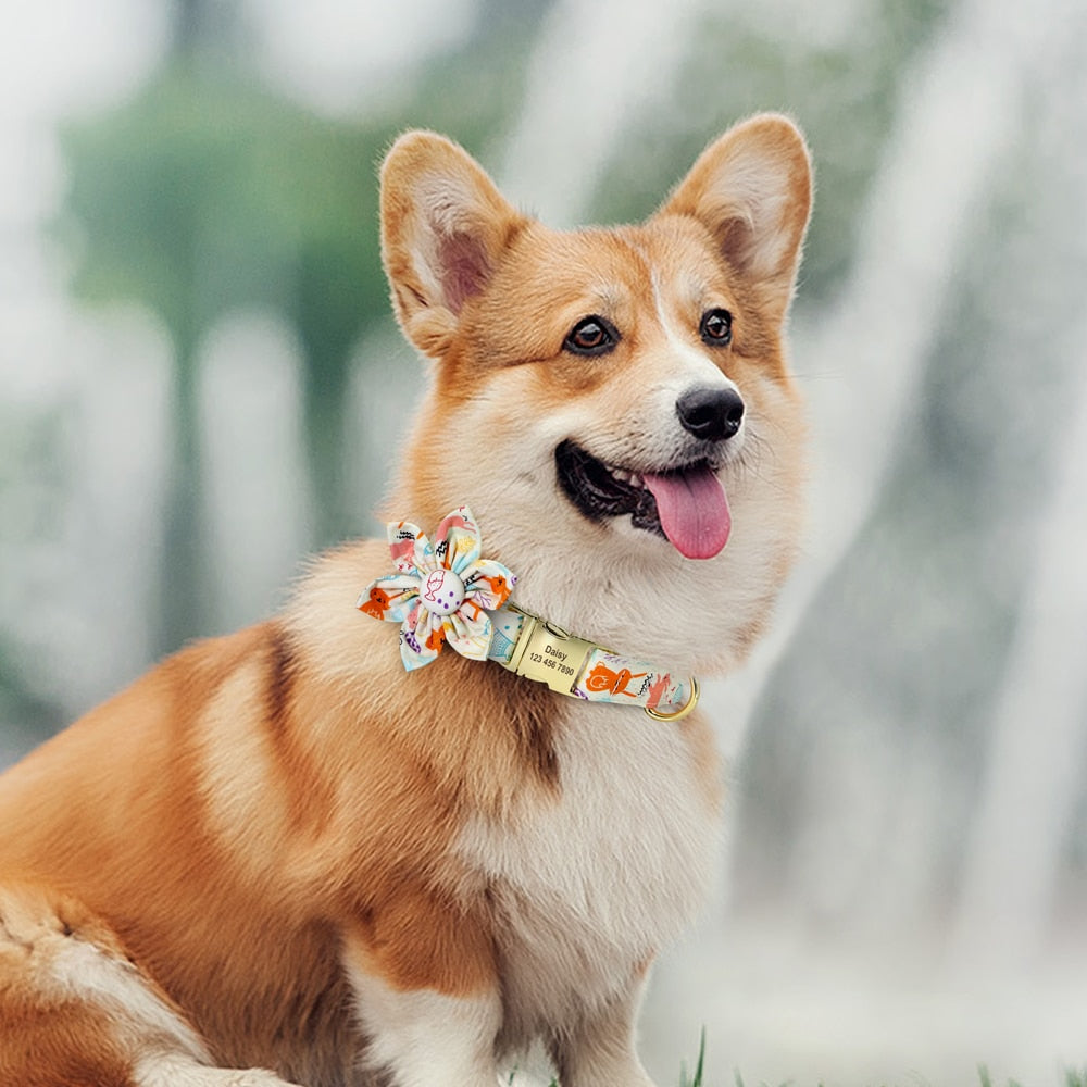 愛犬のカスタム名前入れナイロン花結スタイル首輪