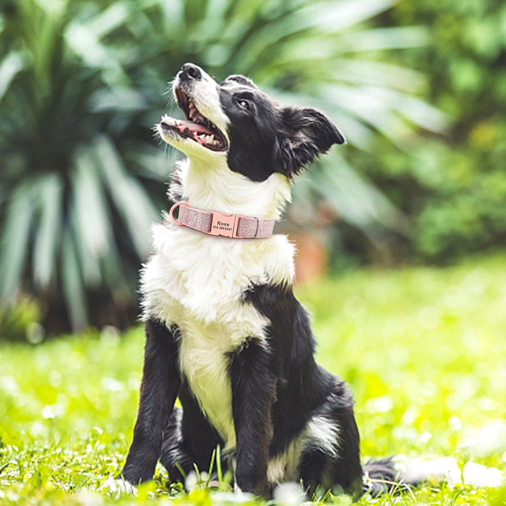 高品質 愛犬のカスタム名前入れカラフル コットン素材首輪 リードセット