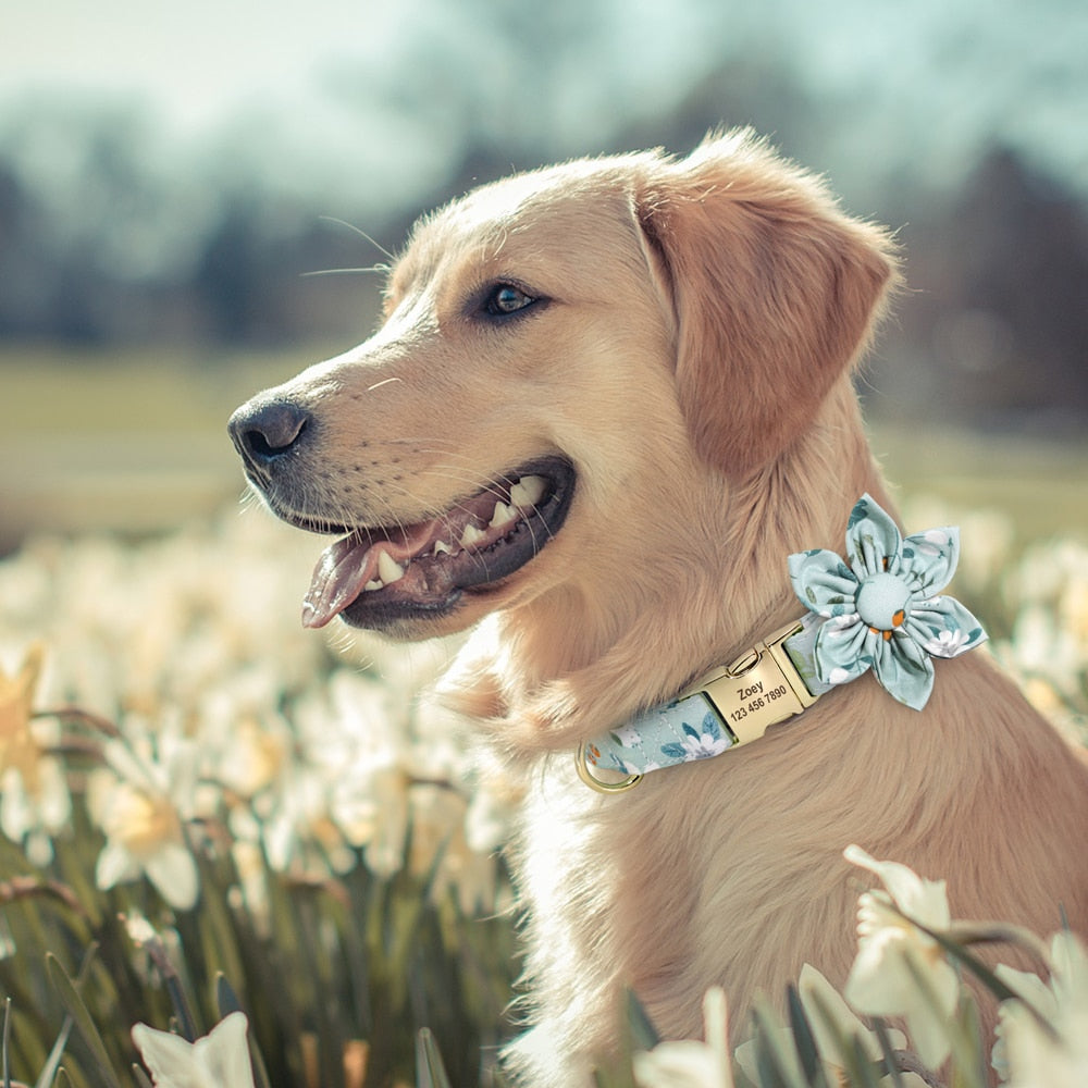 愛犬のカスタム名前入れナイロン花結スタイル首輪