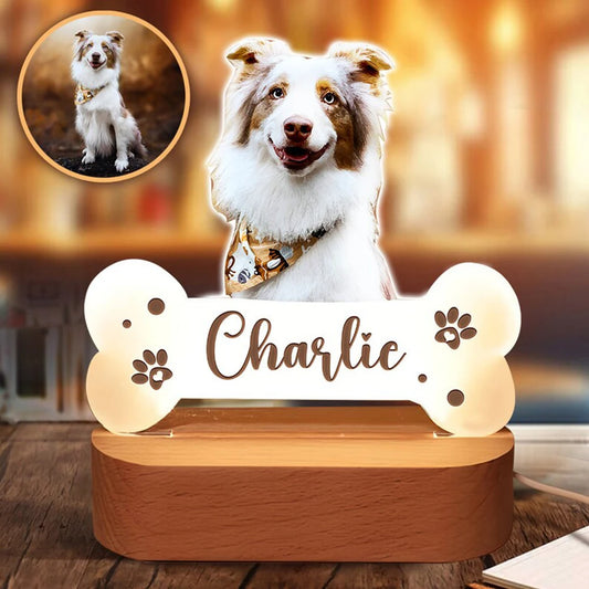 【写真入り・名入れ対応】ペット成長メモリー アクリルナイトライト｜オーダーメイド メモリアルランプ ギフト対応